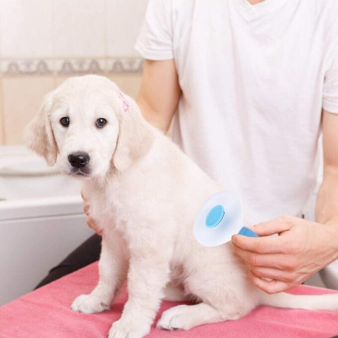 Peine para mascotas cepillo quita nudos perros gatos FK22B-77