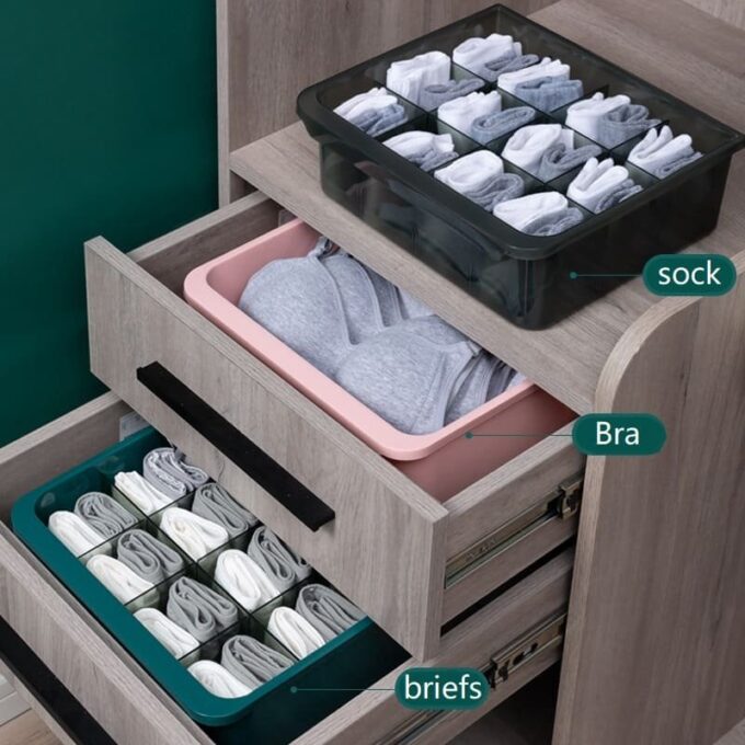 Organizador ropa interior caja de almacenamiento PF152