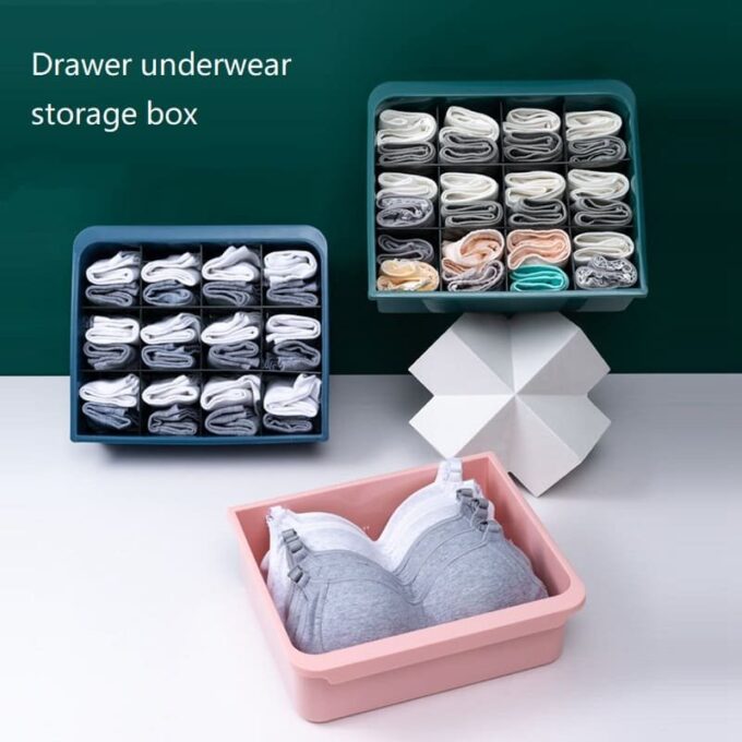 Organizador ropa interior caja de almacenamiento PF152