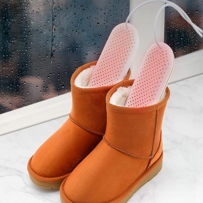 Secador eléctrico de zapatos calentador FK22B-66