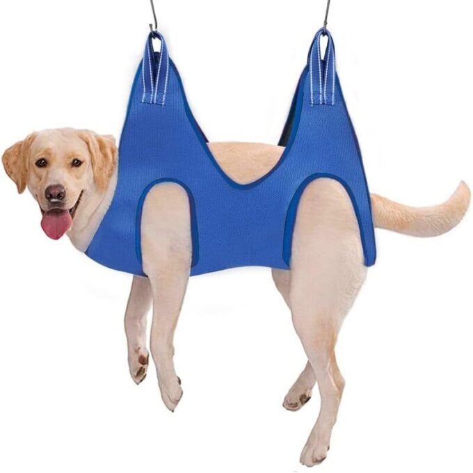 Arnes para aseo Mascotas Soporte perros gatos FK22B-67